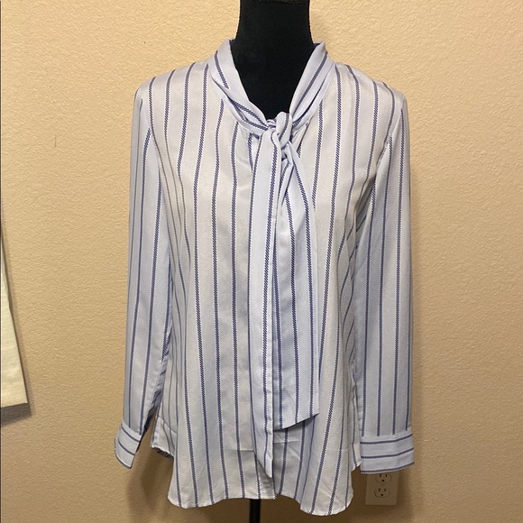 Banana Republic Tops - Striped Blue and White Women's Dillons Shirt